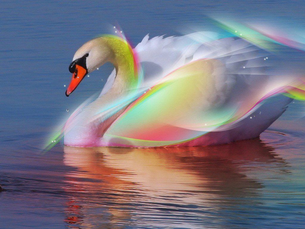 swan goddess